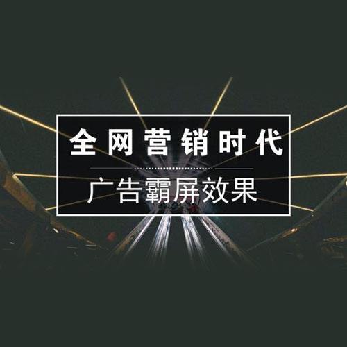 广州初创型企业网络搜索口碑推广
