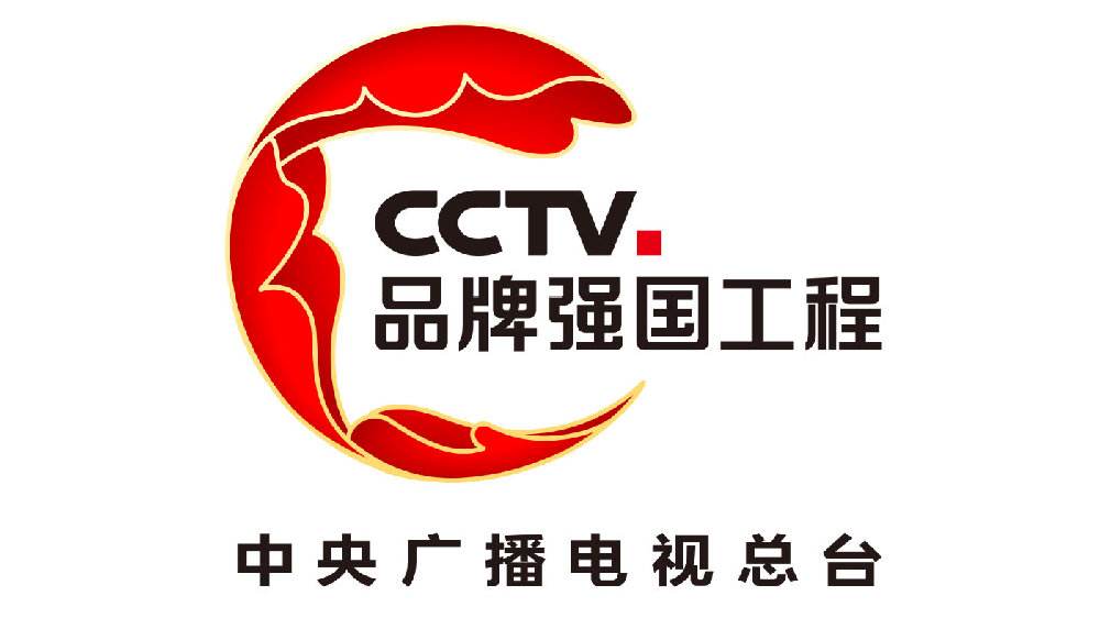 新公司网络背书怎么做效果更好