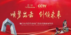 央视广告背书推广效果怎样(9800元)?