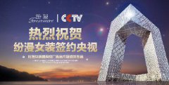 小微企业与中央电视台广告合作的案例分析解读