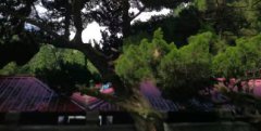 中小企业品牌背书推广!