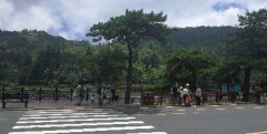 口碑动力分享:互联网搜索口碑推广更加适用中