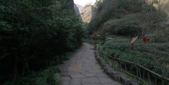 中小企业营销思考:疫情之后如何让品牌更有力