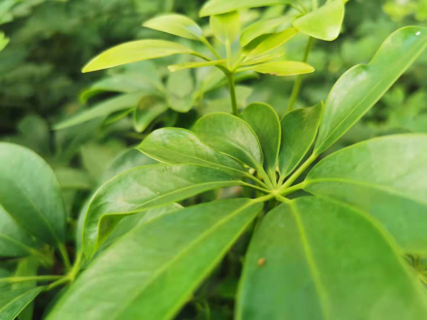 解锁中小企业品牌成长密码:背书传播的力量与实施路径